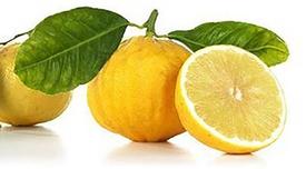Bergamot, Natural (Citrus bergamia)
