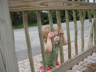 tn_looking through the bars.JPG