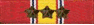 NATIONAL DEFENSE SERVICE STREAMER 