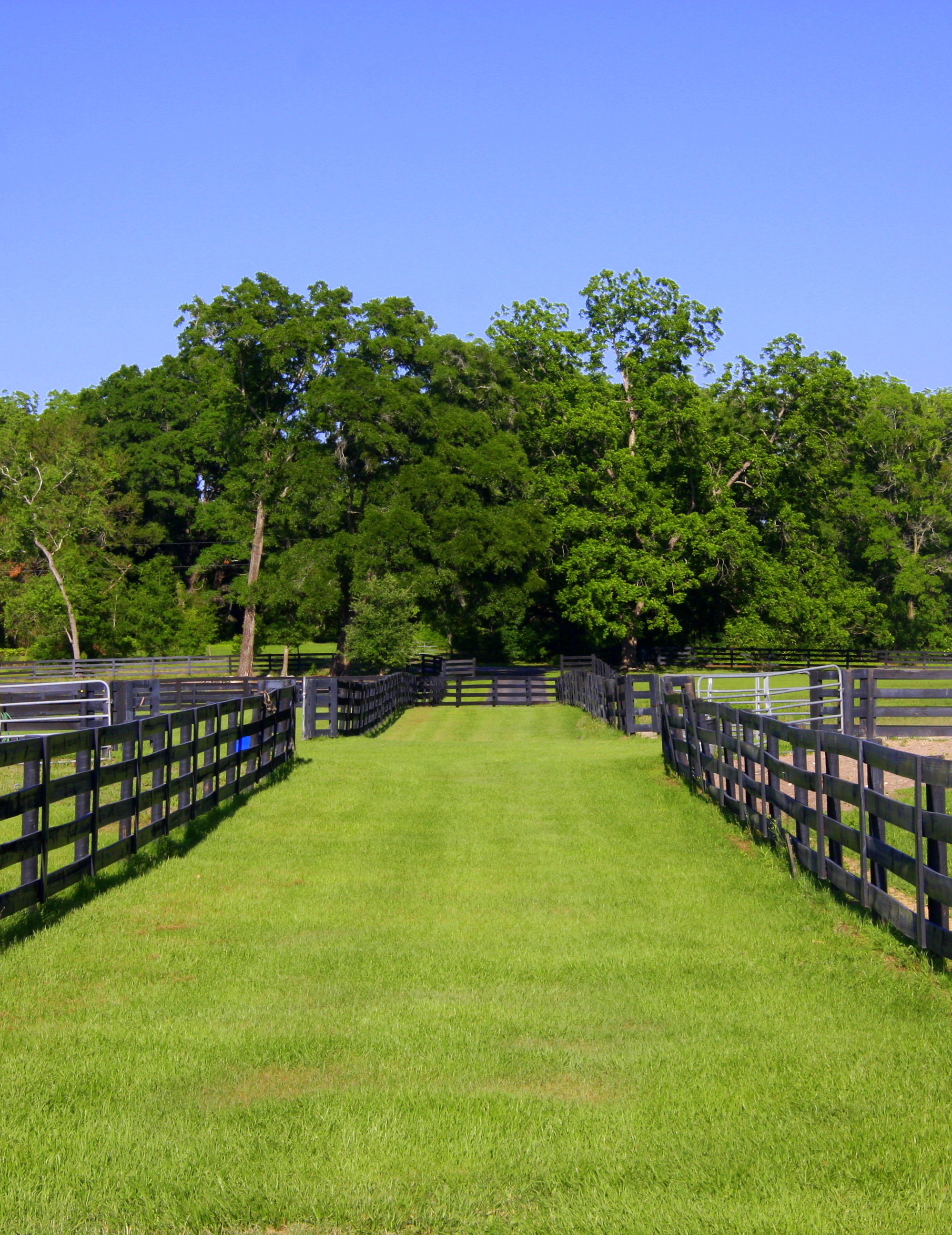 Farm