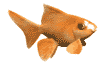 gfishw2.gif