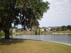 The-Villages-Sp-Springs-016.jpg