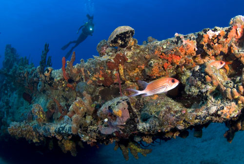Bowsprit wreck of the rhone.jpg Bowsprit wreck of the rhone.jpg