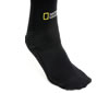class_socks.jpg