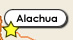 Alachua