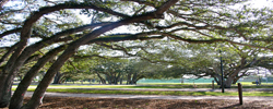 Riverside Park in Vero Beach