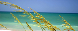 Vero Beach