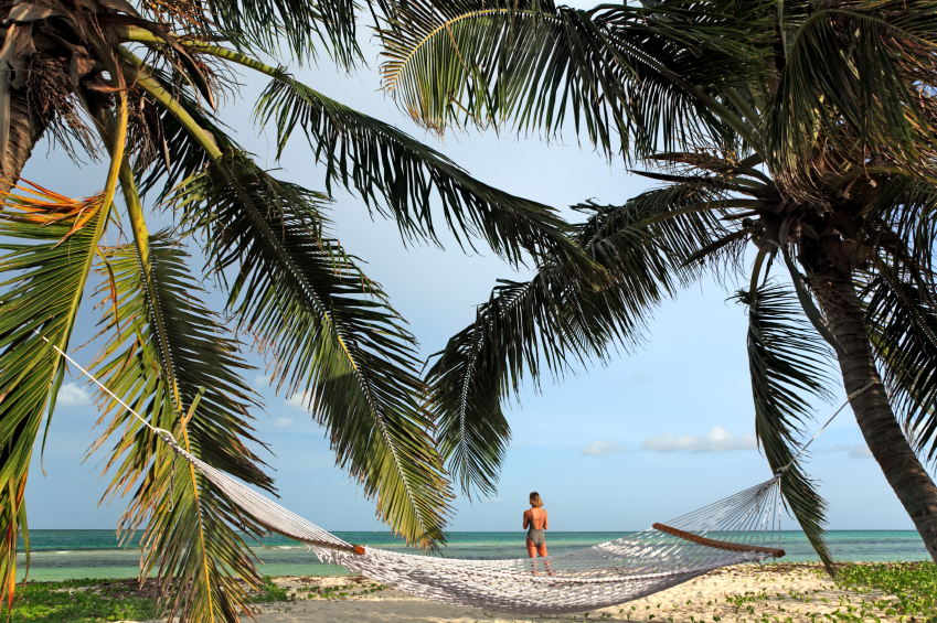 Palms-Hammock_in_Marathon.jpg