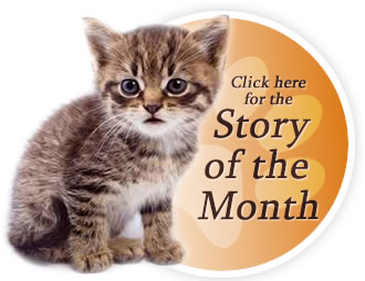 Story of the Month