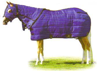 109blue1.JPG
