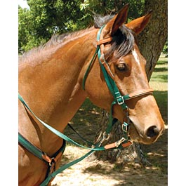Classic Trail Tack Set Collection - Hunter Green.jpg Classic Trail Tack Set Collection - Hunter Green.jpg