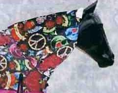Cowgirl Fever Matching Hood.jpg