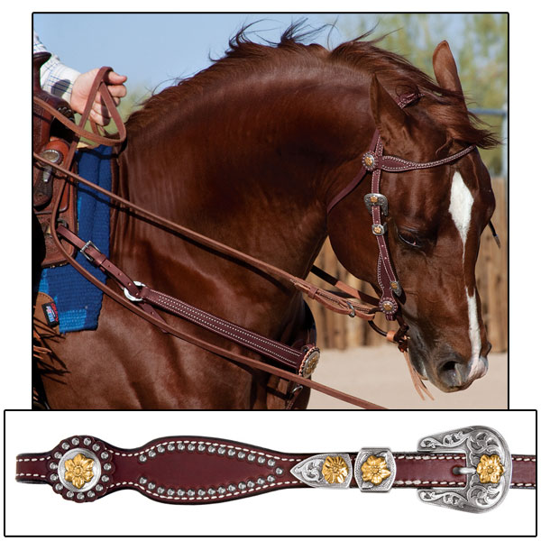 Desert Blossom Collection by Weaver Leather.jpg