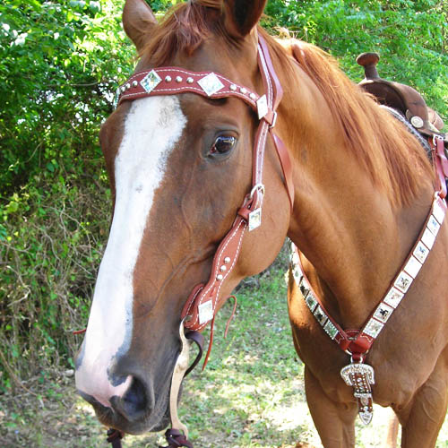 HTLTBARRELRACER3.jpg