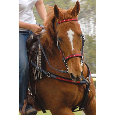 Old Glory Collection by Weaver.jpg Old Glory Collection by Weaver.jpg