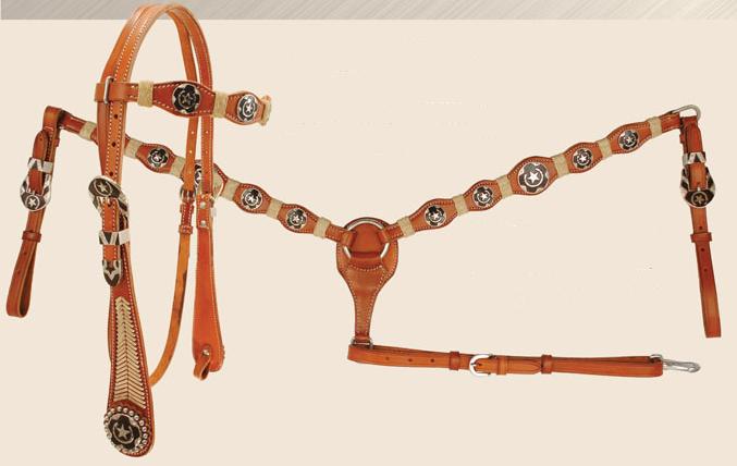 Rawhide Accented w-Horseshoe-Star Conchos-Buckles Western Show Collection.JPG