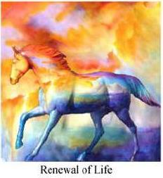 Renewal of Lift.JPG