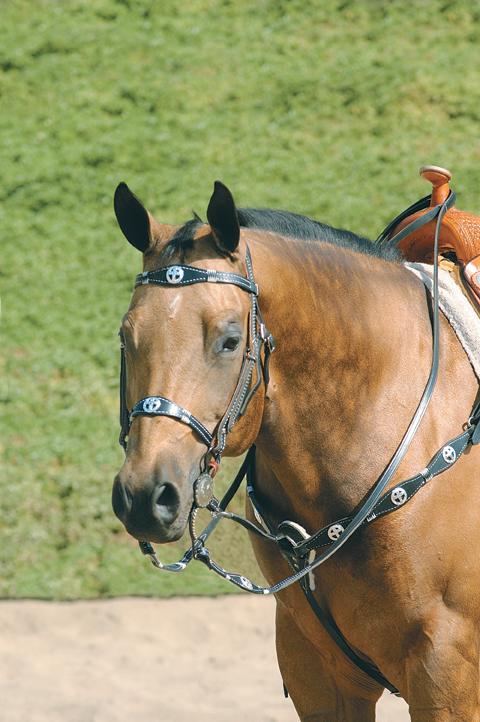 STERLING_TACK_06571.JPG