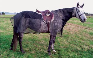 bugarmor.jpg