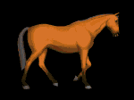 horse-20-june.gif
