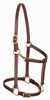 3/4" Track Halters, Weanling/Pony by Weaver Leather