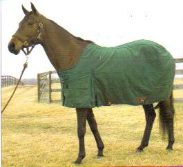 Ozark Water-Resistant Canvas Turnout Blanket