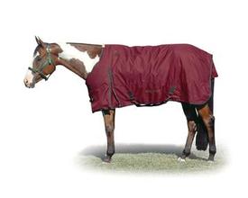 Ozark Waterproof and Breathable Turnout Blanket