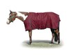 Waterproof and Breathable Turnout Blanket