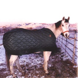 Wastach Blanket