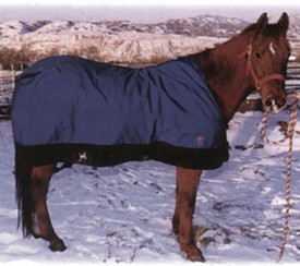Stansbury Horse Stable Sheet