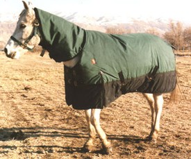 Insulated Stansbury