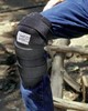 Charmayne James Barrel Racer Knee & Shin Guards
