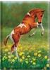 Dances with Daisies Tree Free Greeting Collection