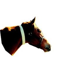 Fly Collar, universal size