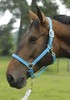 Adjustable Lined Halter