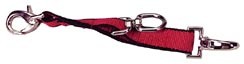 Lunging Strap