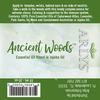 Ancient Woods Synergy - 5 ml.,10 ml. and Roll-On Sizes
