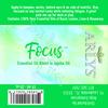 Focus Synergy - 5 ml., 10 ml. and Roll-On Sizes