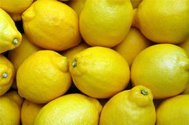 Lemon-Steam Distilled-(Citrus limonum)