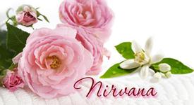 Nirvana Synergy -  5 ml., 10 ml. and Roll-On Sizes