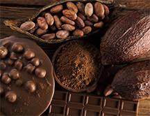 Chocolate-Cocoa Absolute a/k/a Cacao Absolute - (Theobroma cacao)