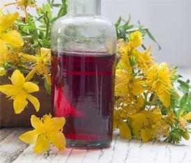 St. Johns Wort Herbal Infused Oil (Fresh Flowers) (Hypericum perforatum)
