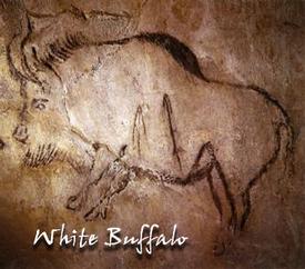 White Buffalo Protection Synergy-5 ml.,10 ml. and Roll-On Sizes