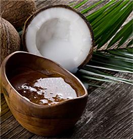 COCONUT OIL FRACTIONATED (Cocos nucifera)