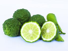 Combava Petitgrain a/k/a Kaffir Lime (Citrus hystrix)