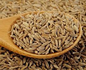 Cumin Seed (Cuminum cyminum)