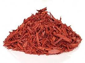 Sandalwood-Red Bark - Pterocarpus santalinus - (Wild Grown)